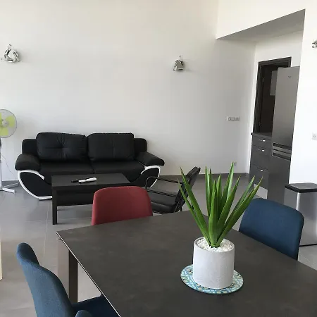 公寓 Le Perchoir Du 阿讷西